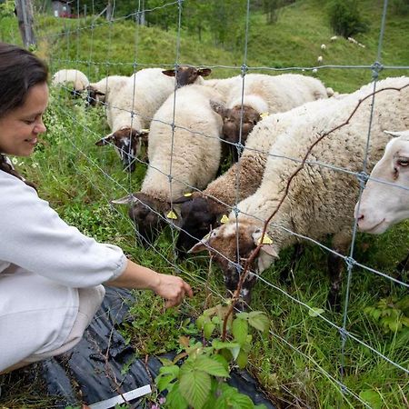 La Vieille Ferme, Ecogite Saint-Fulgence Zewnętrze zdjęcie