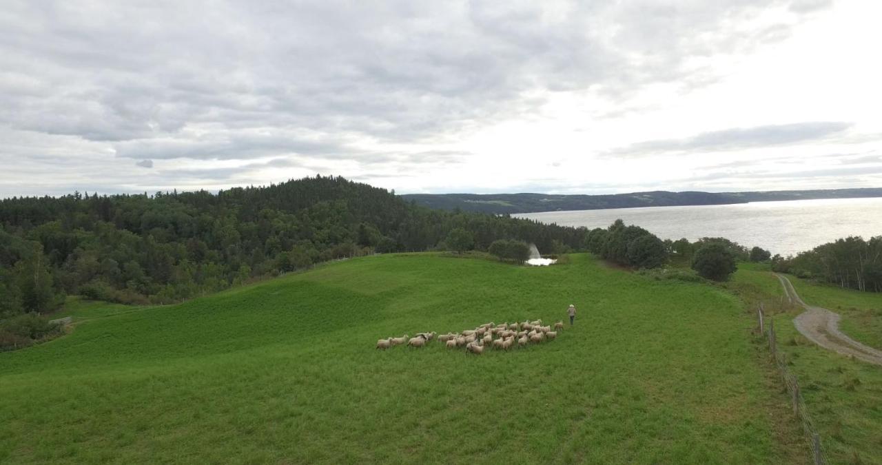 La Vieille Ferme, Ecogite Saint-Fulgence Zewnętrze zdjęcie