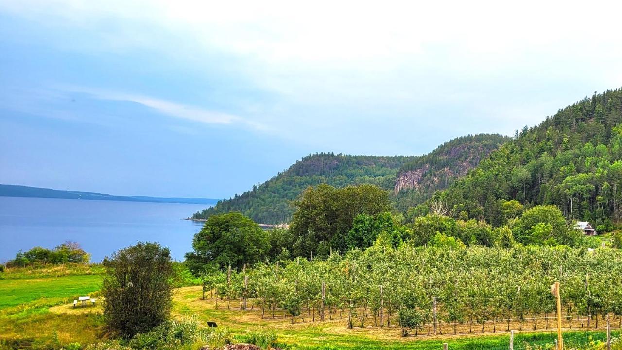 La Vieille Ferme, Ecogite Saint-Fulgence Zewnętrze zdjęcie