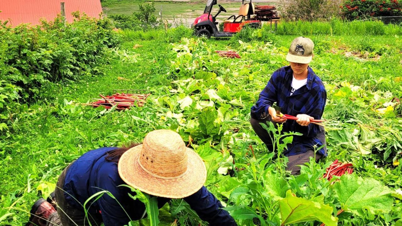 La Vieille Ferme, Ecogite Saint-Fulgence Zewnętrze zdjęcie
