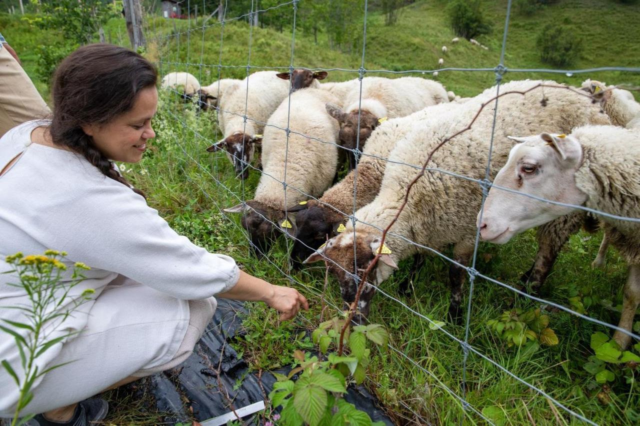 La Vieille Ferme, Ecogite Saint-Fulgence Zewnętrze zdjęcie