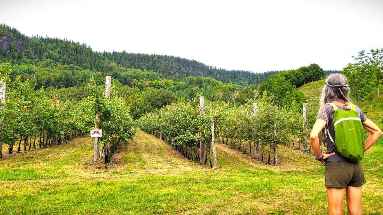 La Vieille Ferme, Ecogite Saint-Fulgence Zewnętrze zdjęcie